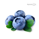 BLUEBERRIES (JUMBO) 125G
