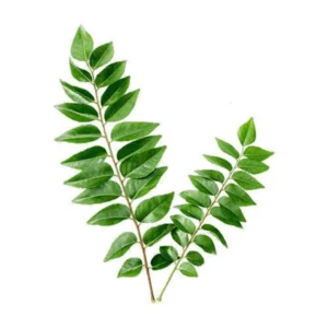DAUN KARI/CURRY LEAVES 50g
