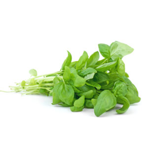 FRESH SWEET BASIL 50G