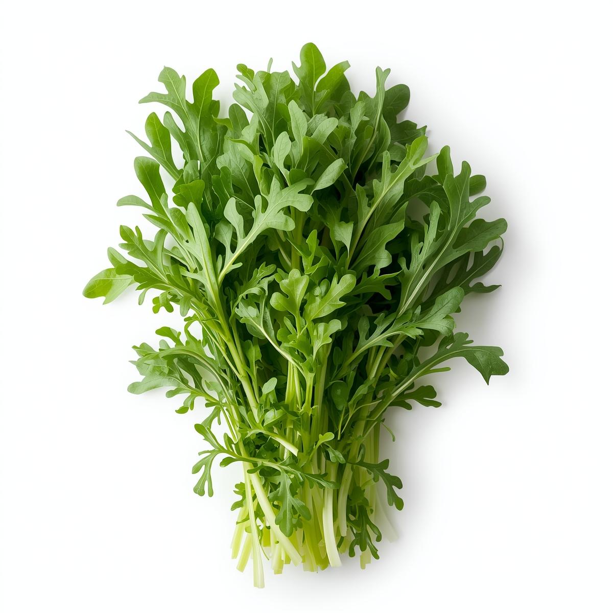 FRESH WILD ROCKET