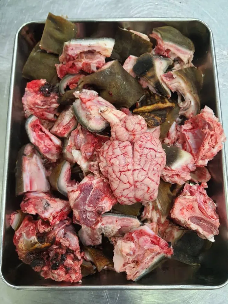 FRESHFROZENBURNHEADWHOLECUTMEDIUMCURRYPCS5873b0