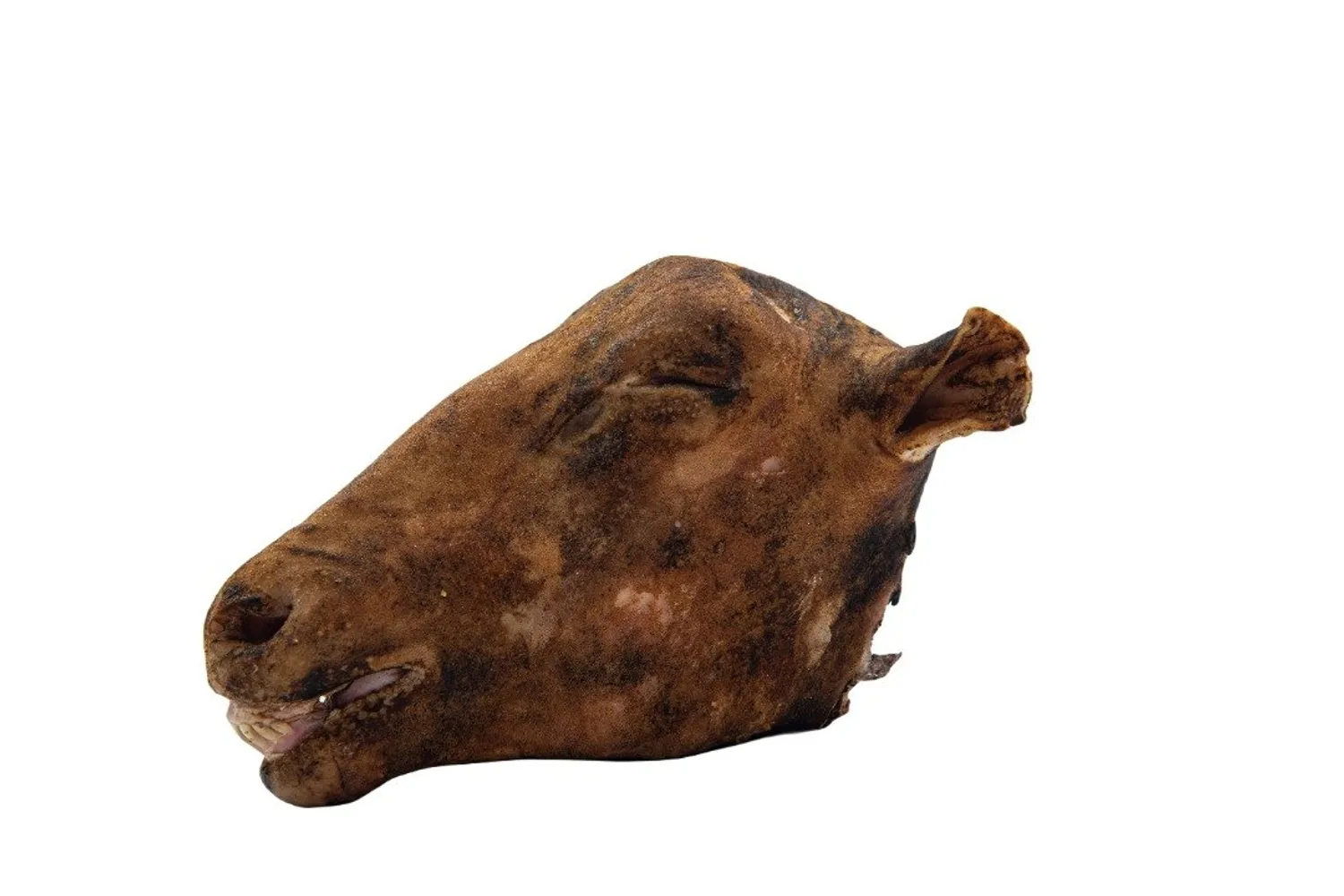 FRESHFROZENBURNHEADWHOLECUTMEDIUMCURRYPCSa9c9d8